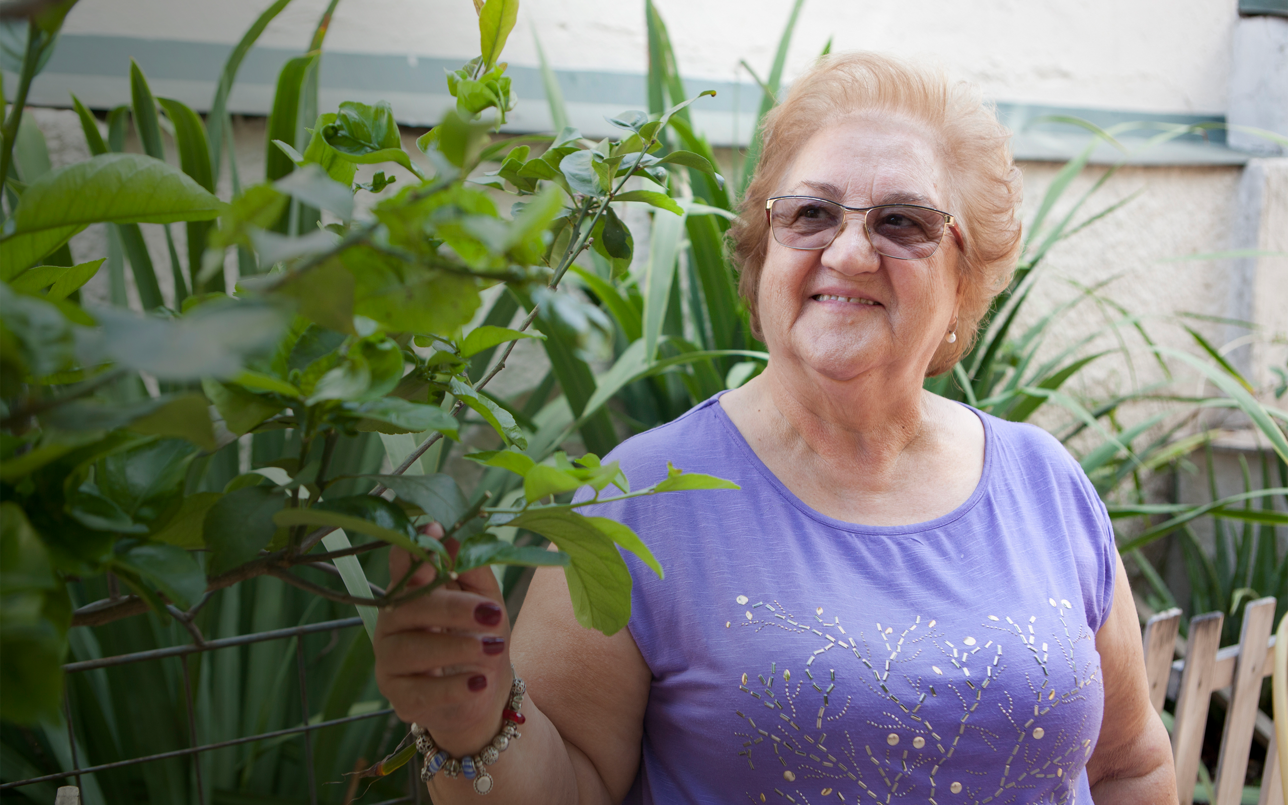 Tratamiento para la diabetes